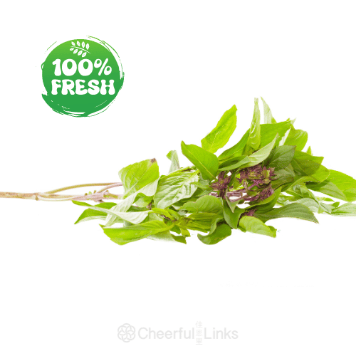 Sweet Basil 100g 泰國香葉(九層塔)