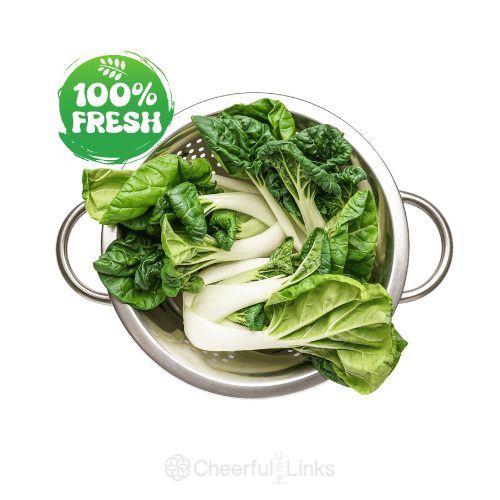 White Pak Choi 新鮮白菜